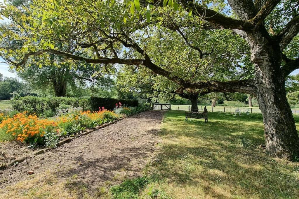 Les Noyers Monestois Entre Cher Et Canal De Berry Mennetou-sur-Cher エクステリア 写真
