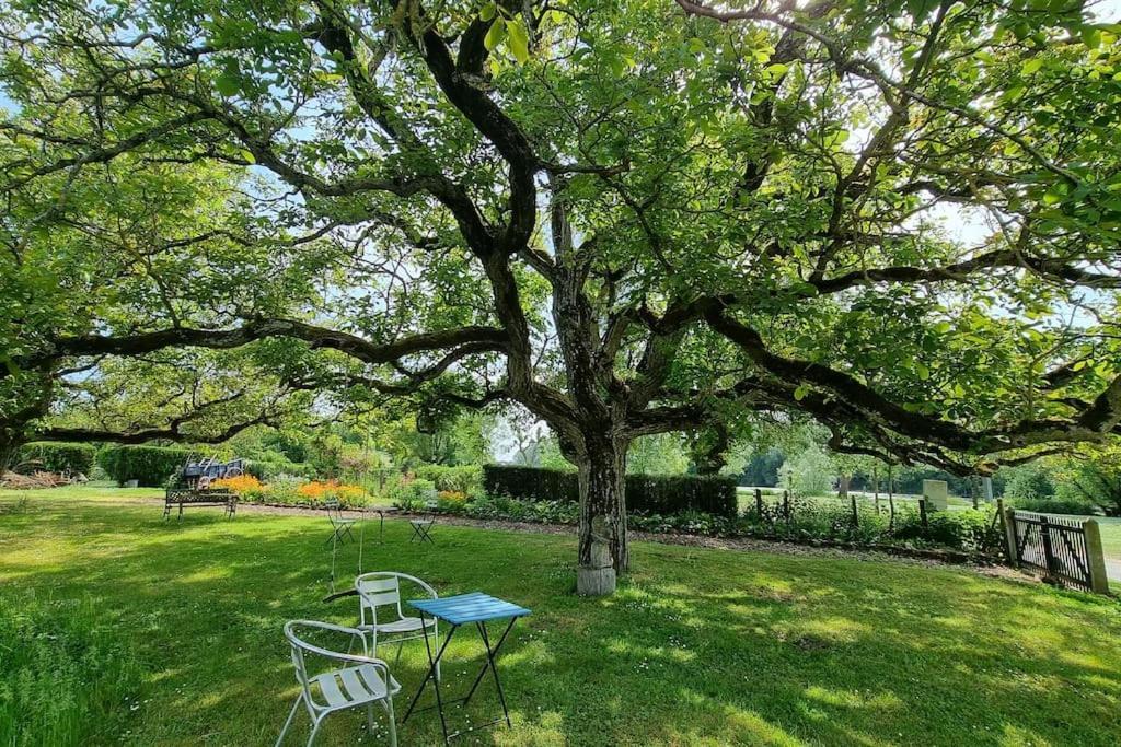 Les Noyers Monestois Entre Cher Et Canal De Berry Mennetou-sur-Cher エクステリア 写真