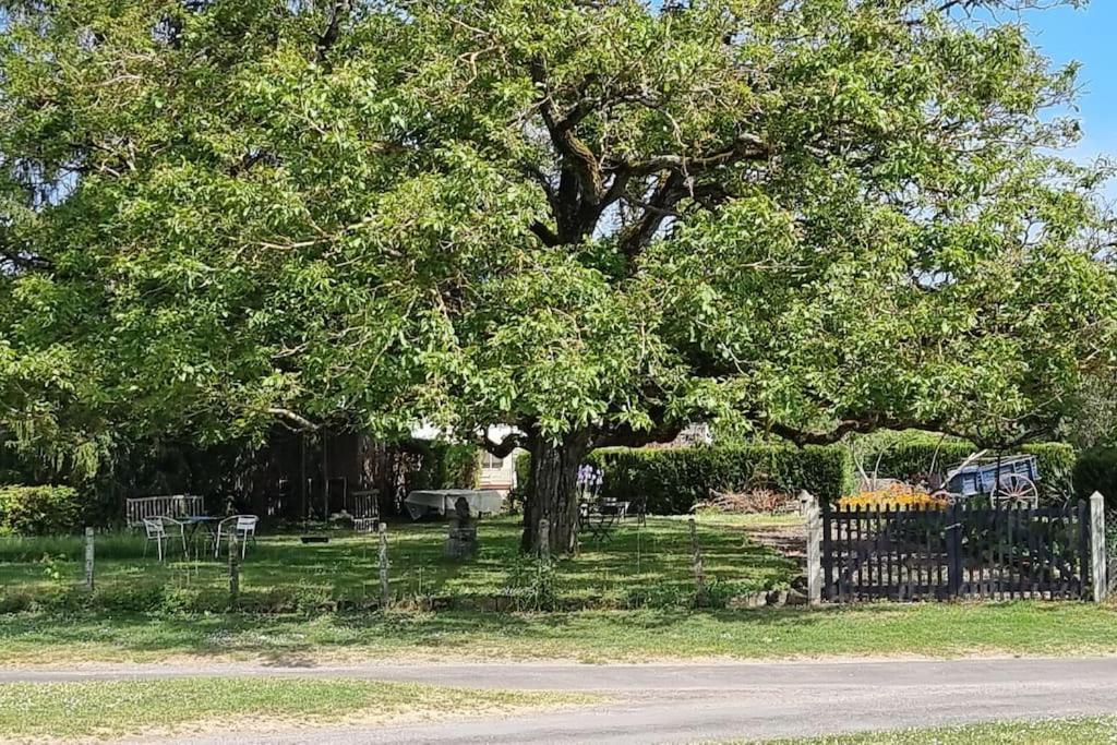 Les Noyers Monestois Entre Cher Et Canal De Berry Mennetou-sur-Cher エクステリア 写真